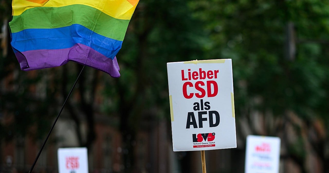 LSVD+: AfD Victory in Saxony-Anhalt Is a Historic Breakthrough